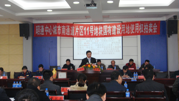 11號地塊國有建設(shè)用地使用權(quán)